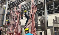 Büyükşehir mezbahasında 6 bin 29 kesim yapıldı