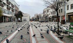 Edirne'de kar gitti, ayaz geldi: Pandemi günlerini aratmayan sessizlik