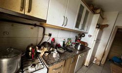 Kapı açılınca karşılaşılan manzara şoke etti