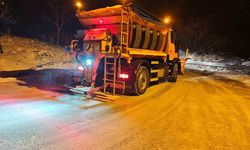 Kar yağışı Osmangazi'de hayatı aksatmadı