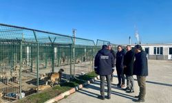 Kaymakam Özderin, Pınarhisar Geçici Hayvan Bakım ve Gözlem Merkezi'nde incelemelerde bulundu