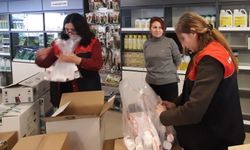 Kırklareli'nde zirai ilaç bayi kontrolleri: Alınan numuneler İstanbul'a gönderildi