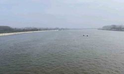 Meriç ve Tunca'daki yükseliş çiftçiye umut oldu