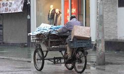 Sakarya'da lapa lapa kar yağışı etkili oldu