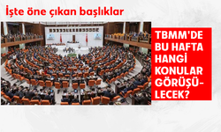 TBMM'de bu hafta hangi konular görüşülecek? İşte öne çıkan o başlıklar