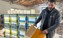 İnegöl'de rengarenk arı kovanları üretiyor