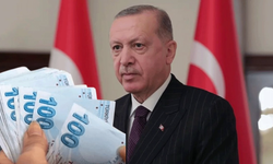 1 Ocak itibariyle e-Devlet Üzerinden 24 Bin TL Geri Ödemesiz Yardım Başladı