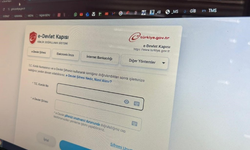 Bilişim uzmanı uyardı: E-Devlet’in kopyalarıyla dolandırıcılığa dikkat