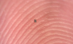 Dünyanın en küçük robotu üretildi