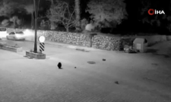 Motosiklete çarparak iki kişiyi yaralayan otomobil sürücüsü tutuklandı