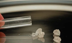 Profesör açıkladı: "Metamfetamin ve kokain gençler arasında tehlikeli boyutlara ulaştı"