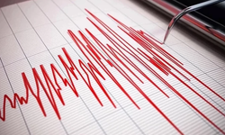 Bingöl Karlıova sallandı