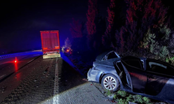 Bursa'da köpekler nedeniyle otoyolda can pazarı