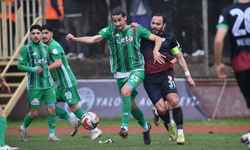 Kafkas Kartalı, etten duvar ören Yalova kalesini aşamadı