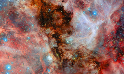 Hubble, komşu galaksideki bebek yıldızları görüntüledi