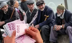 Fatih Atik, AK Parti'nin emekli planını açıkladı