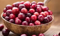 Kızılcık tüketimi, yağlı karaciğer hastalığının etkilerini azaltıyor