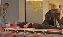 Tarlaya uçan otomobil hurdaya döndü; 1 yaralı