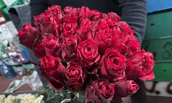 Olumsuz hava koşulları kırmızı gülü vurdu, ithal güller ön plana çıktı