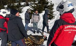 Bursa Uludağ'da kızak faciası: Dereye uçan tatilciyi JAK kurtardı