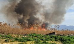 Bursa  İznik'te rüzgarla birlikte sazlık yangını büyüyor