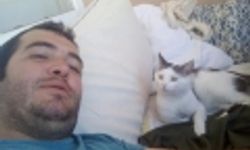 Kaybolan kedisi için binlerce kilometre yol yaptı!