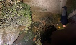 Bursa’da heyelan: Mudanya-Kurşunlu yolu trafiğe kapandı