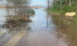 Bursa'da Yaren leyleğin köyü de yükselen göl sularından etkilendi