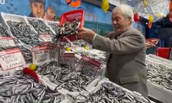 Deniz bereketi tezganlara yansıdı: Hamsi fiyatları dibe indi