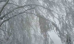 Kırklareli'nin yüksek kesimleri beyaza büründü