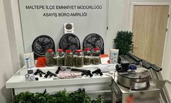 Maltepe'de bir uyuşturucu serası dronla tespit edildi: 3 gözaltı