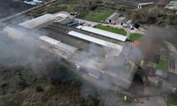 Şekerleme fabrikasında korkutan yangın: Ekipler seferber oldu