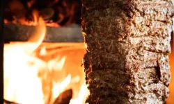 TMSF, dev döner zincirini satışa çıkardı