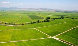 Bursa’da 1 bina, 4 daire, 1 dükkan ve 1 tarla satılığa çıkarıldı