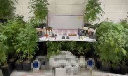 Bursa İnegöl'de jandarmadan uyuşturucu operasyonu!