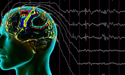 Beyindeki parazit yeniden harekete geçip öldürebilir!