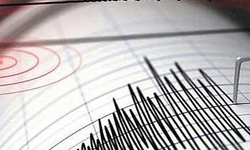 Osmaniye sabah saatlerinde sallandı