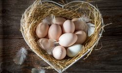 Yumurta satışında yönetmelik değişti