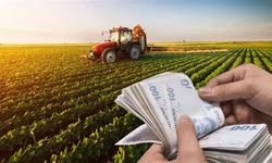 Devlet köye yerleşene para ödeyecek! İşte yeni destek planı