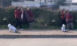 Bursa'da bebeğin önünde dilenci kavgası!
