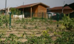 Tarım arazilerine hobi bahçesi dönemi kapanıyor: Ya Tarım ya Yaptırım!