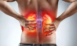 Böbrek sağlığında tehlikeli tablo: Her 7 kişiden biri hasta