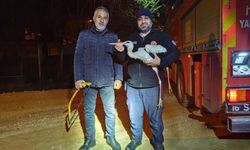 İnegöl İtfaiyesinden leylek kurtarma operasyonu