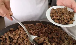 Mersin Büyükşehir Belediyesi'nde büyük skandal: Kavurmadan yarış atı çipi çıktı!