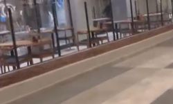 Bursa Nilüfer'de restoran savaş alanına döndü, camlar ve çerçeveler indi