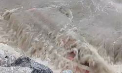 Bursa'da Gemlik ve Kumla'yı lodos vurdu, çok sayıda tekne battı