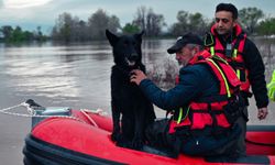 Bursa'da su baskınında mahsur kalan köpekler kurtarıldı