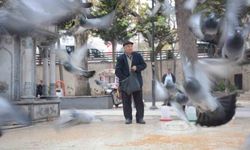 Bayramda eşini dostunu bıraktı, beslediği kuşlara koştu