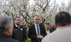 Bilecik'te budama kursu düzenlendi