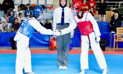 Bilecik'te Tekvando Yıldızlar İl Birinciliği tamamlandı